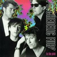 The Psychedelic Furs : In the Pink